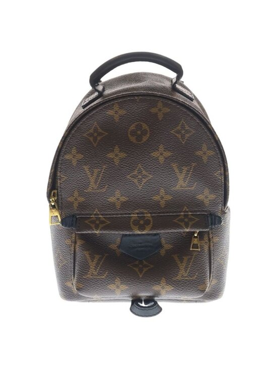 Louis Vuitton Palm Springs Mini Leather Backpack Gold Brown main image 6